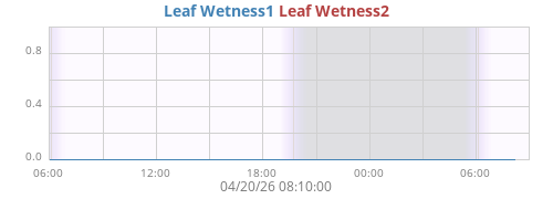 daywetleaf